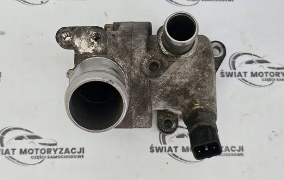 Thermostat/thermostat housing