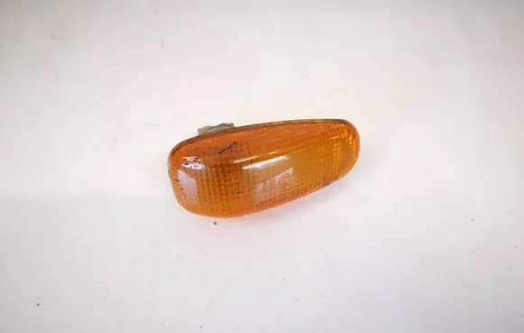 Front fender indicator light