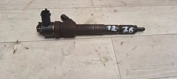 Opel Insignia A Fuel injector 0445110