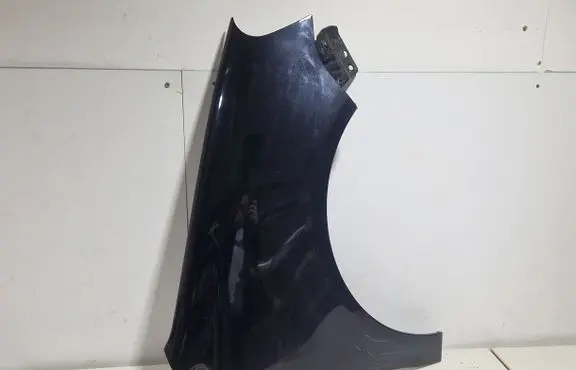 Volkswagen Polo IV 9N3 Fender