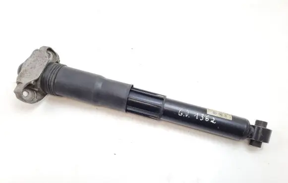 Volkswagen ID.4 Rear shock absorber/damper 1EA512013BD