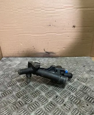 Thermostat/thermostat housing