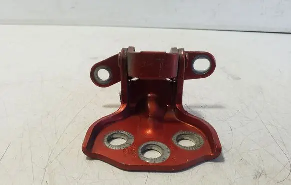 Rear door lower hinge