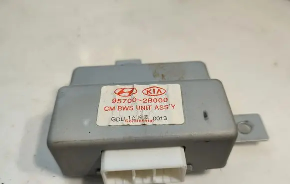 Hyundai Santa Fe Other control units/modules 957002B000