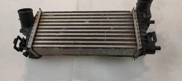 Ford C-MAX II Intercooler radiator CV619L440V