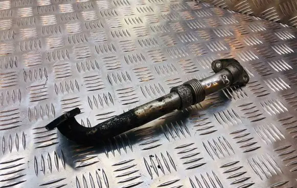 Seat Alhambra (Mk1) EGR valve line/pipe/hose 038131521AF
