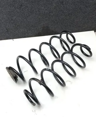 Rear coil spring