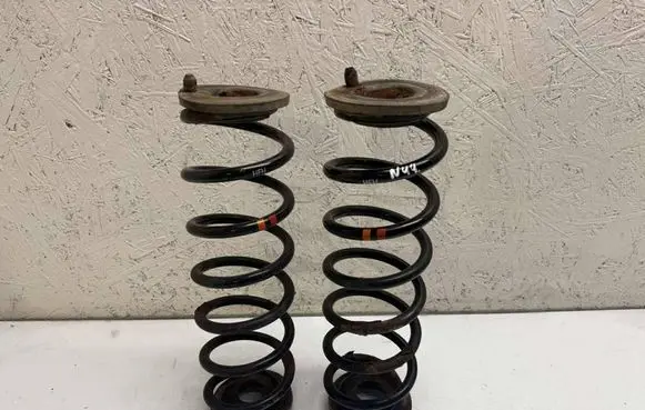 Rear coil spring