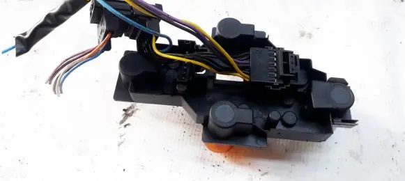 Renault Scenic I Tail light bulb cover holder