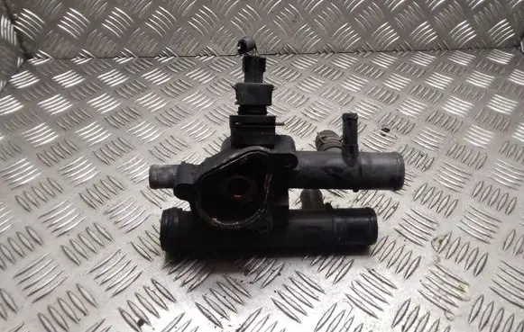 Thermostat/thermostat housing