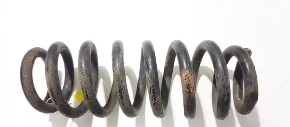 Suzuki Grand Vitara II Rear coil spring