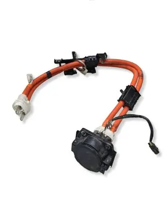 Nissan Leaf II (ZE1) Electric car charging cable 296B1