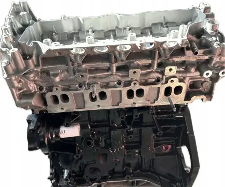 Nissan Qashqai Engine M9R
