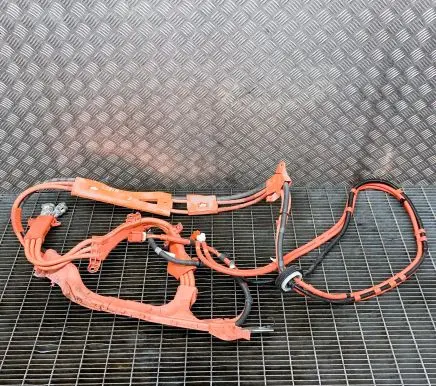 Lexus IS III XE30 Other wiring loom 8216453020B