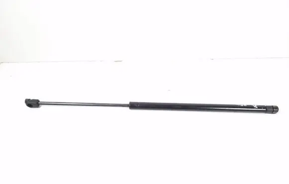 Tailgate/trunk strut/damper