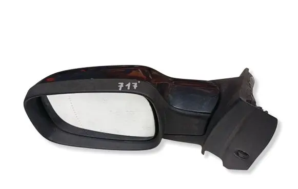 Renault Megane II Front door electric wing mirror E9011126