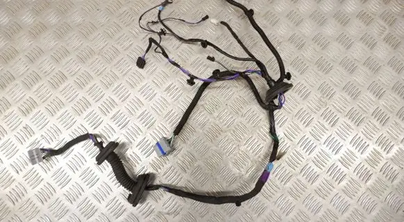 Tesla Model S Rear door wiring loom 100442500P