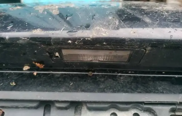 Volkswagen Fox Number plate light