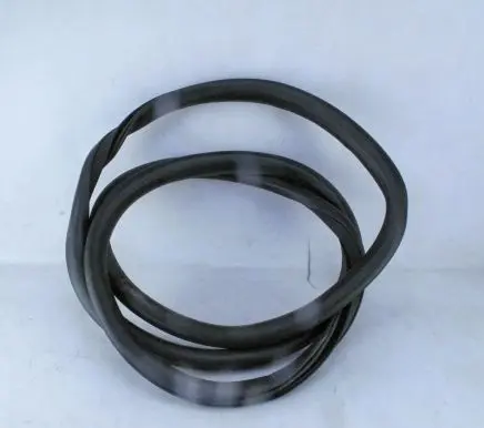 Ford Kuga III Rear door rubber seal (on body) LJ6BS253A10A