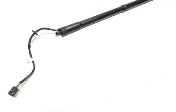 Ford C-MAX II Tailgate/trunk strut/damper AM51R404C85AC 107004