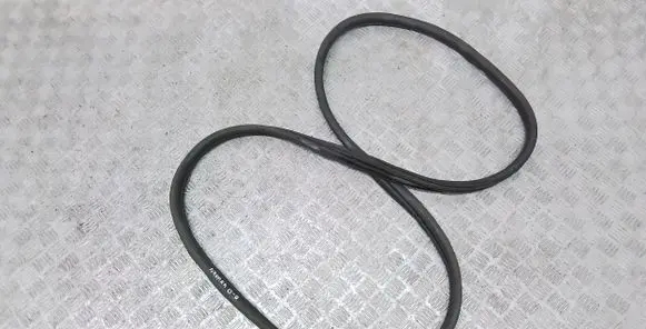 Nissan Navara D40 Rear door rubber seal (on body) 