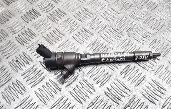 Hyundai Santa Fe Fuel injector