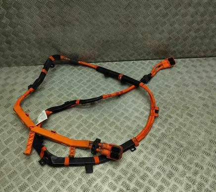 BMW 5 G30 G31 Other wiring loom 6823636