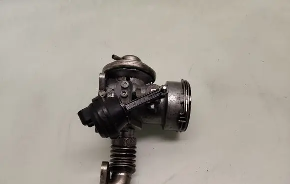 EGR valve