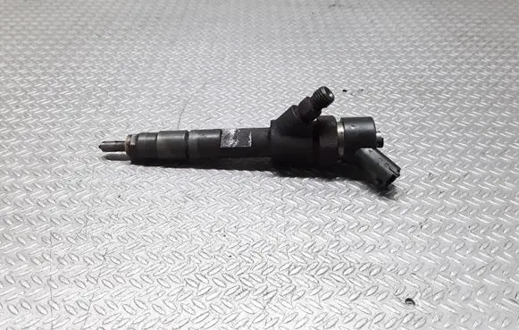 Renault Laguna II Fuel injector 0445110110B 8200100272