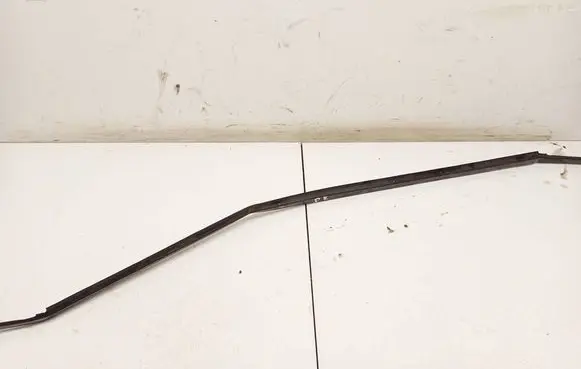 Volkswagen Sharan Rear door glass trim molding 95VW25605AGW