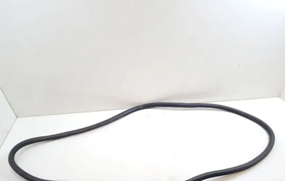 Ford Mustang Mach-E Front door rubber seal LJ8BR253A10