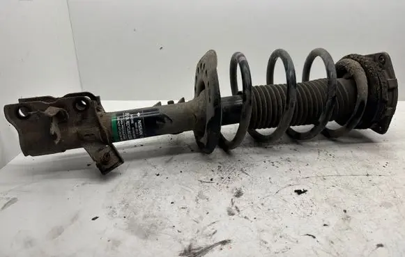Nissan Qashqai Front shock absorber with coil spring 54302JD01A 824903002933
