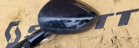 Citroen DS4 Front door electric wing mirror 7F10