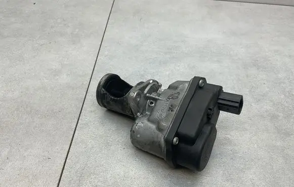 EGR valve