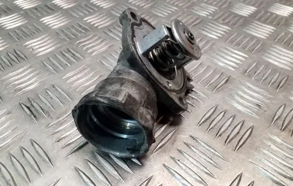 Thermostat/thermostat housing