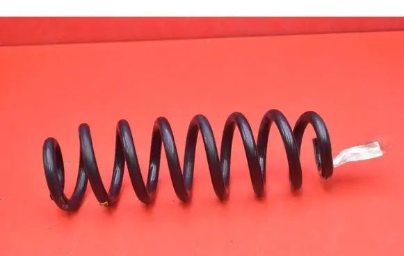 Opel Insignia A Rear coil spring 