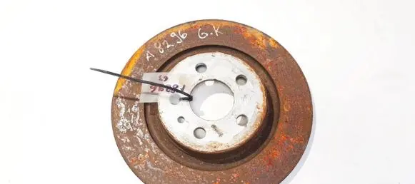 Rear brake disc