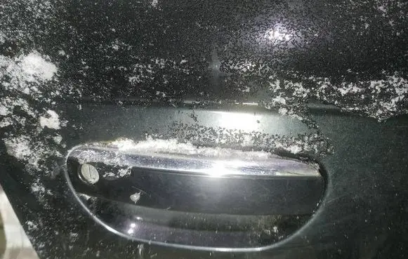Audi A6 S6 C5 4B Front door exterior handle 