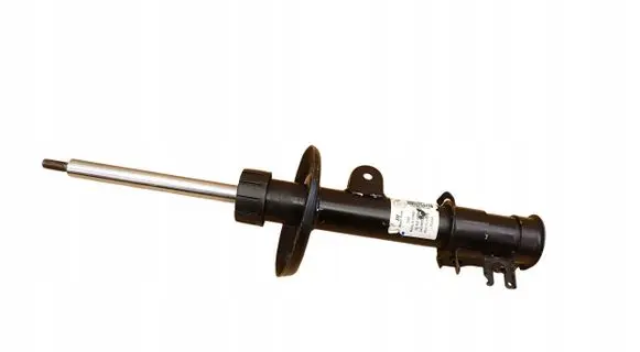 Fiat Doblo Front shock absorber with coil spring 51880839