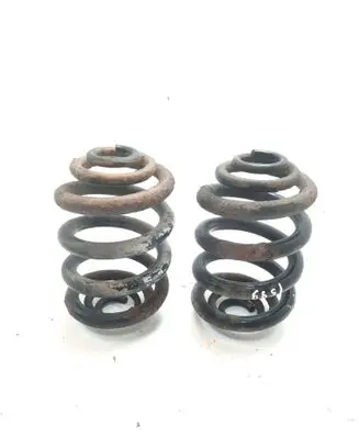Rear coil spring