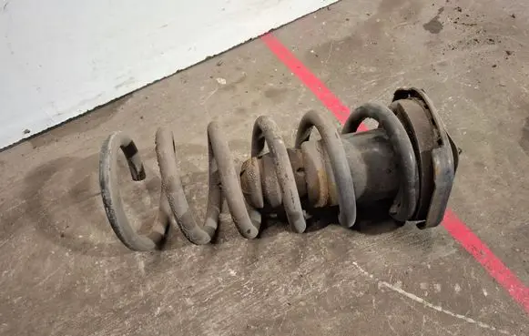 Rear coil spring