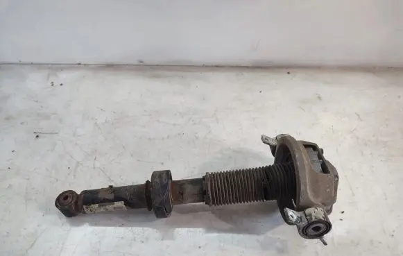 Volkswagen Touareg I Rear shock absorber/damper 7L6512021