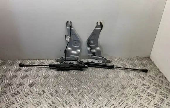 BMW X6 E71 Engine bonnet/hood hinges 7208628 7208627