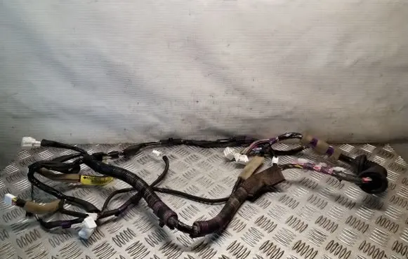 Lexus RX 450H Front door wiring loom 8215248770