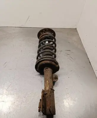 Opel Antara Front shock absorber with coil spring