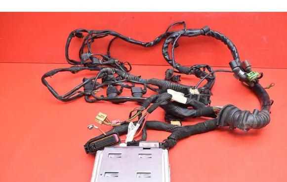 Audi A4 S4 B6 8E 8H Other wiring loom 8E1971072LF
