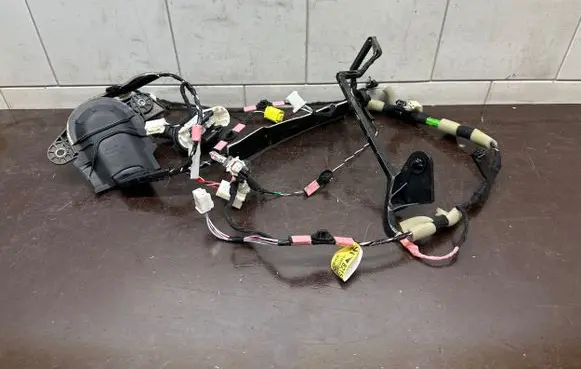 Front door wiring loom