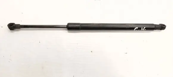 Tailgate/trunk strut/damper