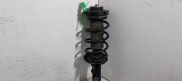 Volkswagen Golf V Front shock absorber/damper 1T0413031CM