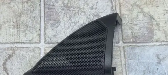 Front door high frequency speaker